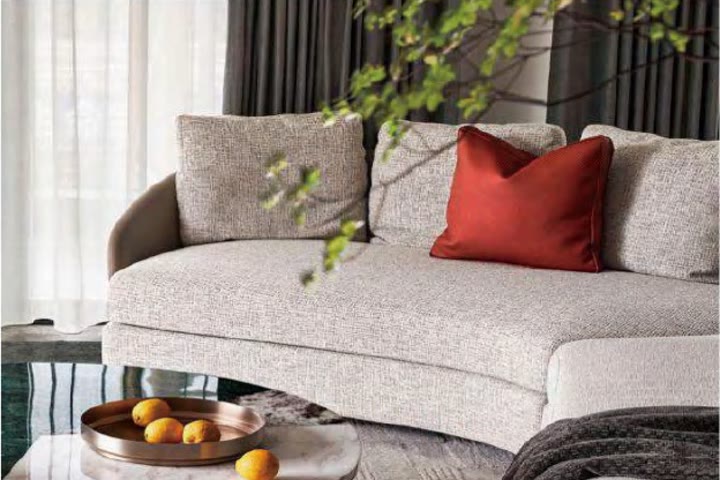 Living room sofa and furniture collection