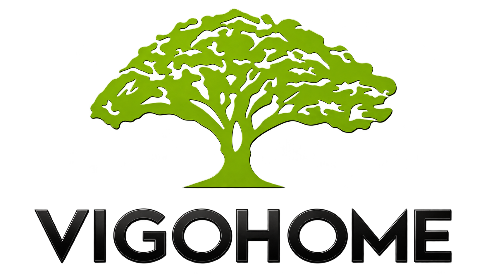 VIGOHOME